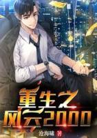 重生之風(fēng)云2000