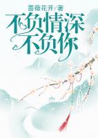 不負情深不負你
