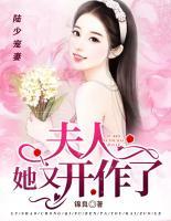 陸少寵妻：夫人她又開作了