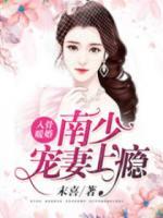 入骨暖婚：南少寵妻上癮