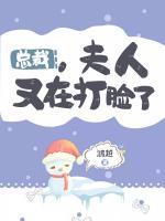 總裁，夫人又在打臉了