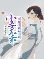 小妾不乖：王爺快到碗里來