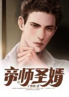 帝師圣婿