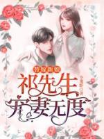 替嫁新娘：祁先生寵妻無度