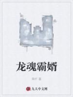 龍魂霸婿