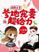 天降三寶：爹地寵妻超給力
