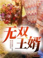 無(wú)雙王婿