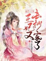 報(bào)告王爺，王妃又去抄家了