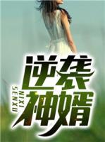 逆襲神婿