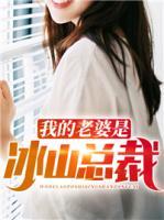 我的老婆是冰山總裁