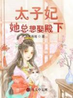 太子妃她總想娶殿下