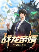 戰(zhàn)龍帝婿
