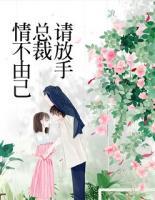 情不由己：總裁請放手
