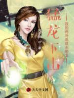猛龍下山：我的高冷總裁未婚妻