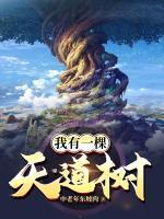 我有一棵天道樹