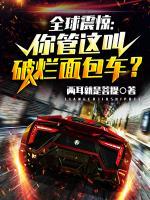 全球震驚：你管這叫破爛面包車(chē)？