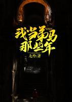 我當?shù)荞R那些年