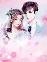 傅先生每天都想復(fù)婚