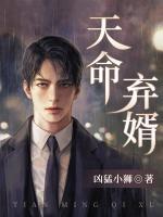 天命棄婿