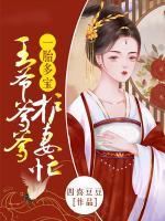 一胎多寶：王爺?shù)o妻忙