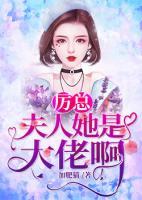 厲總，夫人她是大佬啊！