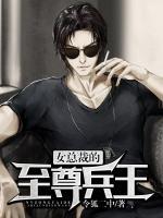 女總裁的至尊兵王