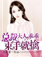 總裁大人，乖乖束手就擒