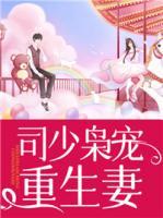 司少梟寵重生妻