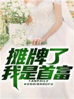 攤牌了我是首富