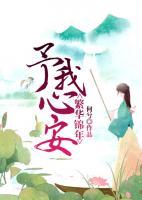 繁華錦年，予我心安