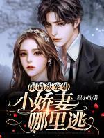 限制級(jí)寵婚：小嬌妻哪里逃