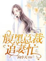 腹黑總裁追妻忙