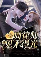 婚情漫漫，周律師他見不得光