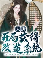 大唐：開局獲得改造系統(tǒng)