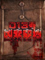 013號(hào)兇案密檔