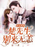 錯愛成殤：楚先生，別來無恙