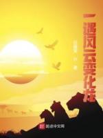 一遇風(fēng)云變化龍