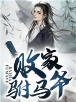 敗家駙馬爺