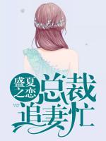 盛夏之戀，總裁追妻忙