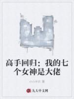 高手回歸：我的七個女神是大佬