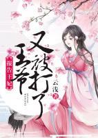 報(bào)告王妃，王爺又被打了