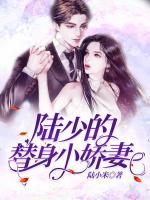 陸少的替身小嬌妻