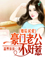 婚后試愛：豪門老公不好惹