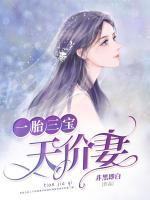一胎三寶天價(jià)妻