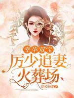 幸孕雙寶：厲少追妻火葬場