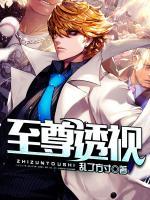 至尊透視