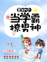 重生九六：當學霸撩男神