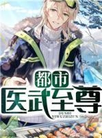 都市醫(yī)武至尊