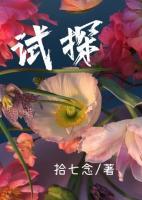 試探
