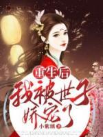 重生后，我被世子?jì)蓪櫫?>
                    <a href=